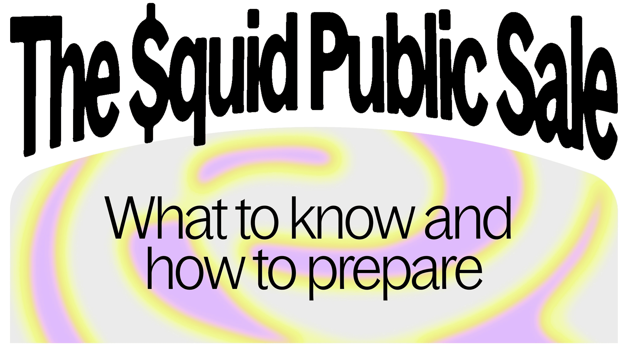 Squid Public Sale: What to know and how to prepare.