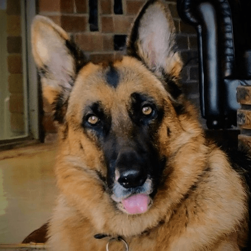 Koda